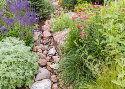 Dry Creek Bed Landscaping