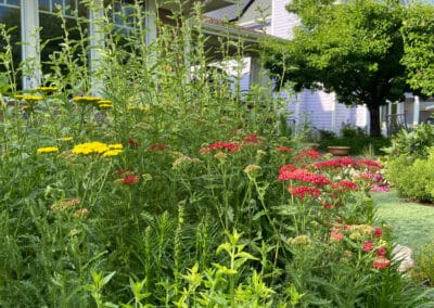 Front Yard Xeriscaping Colorado