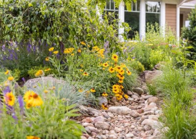 Water Wise Dry Creek Bed Landscaping